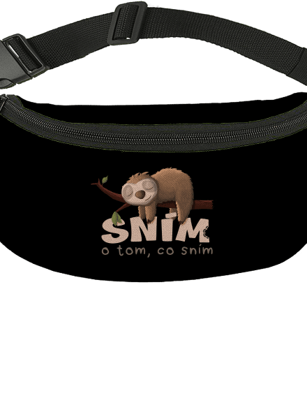 Sním o tom, co sním