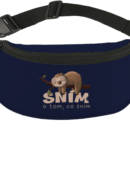 Sním o tom, co sním