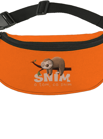 Sním o tom, co sním