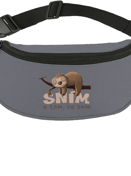 Sním o tom, co sním