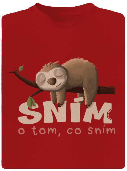 Sním o tom, co sním