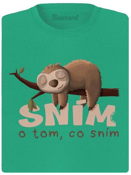 Sním o tom, co sním