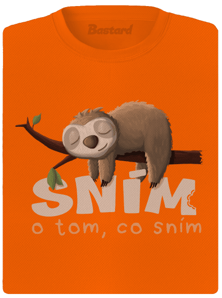 Sním o tom, co sním