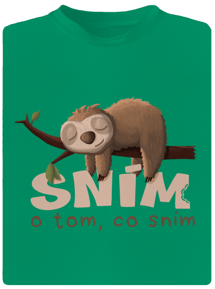 Sním o tom, co sním