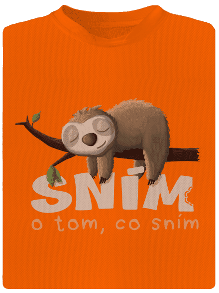 Sním o tom, co sním