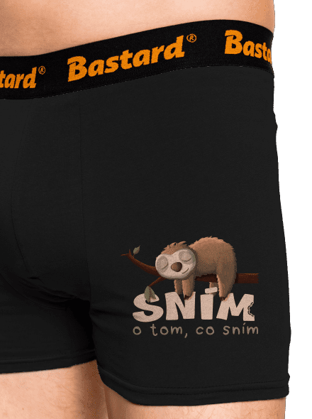 Sním o tom, co sním