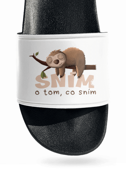 Sním o tom, co sním