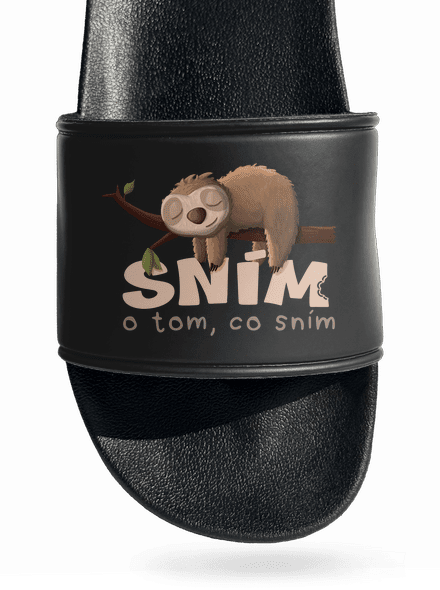 Sním o tom, co sním