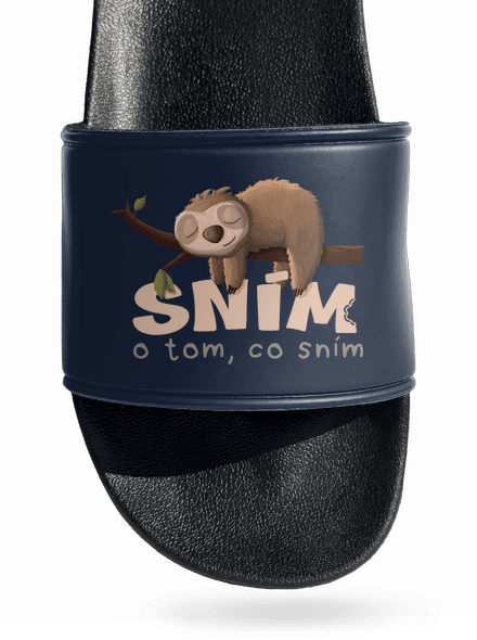 Sním o tom, co sním