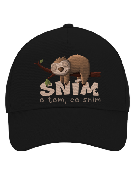 Sním o tom, co sním