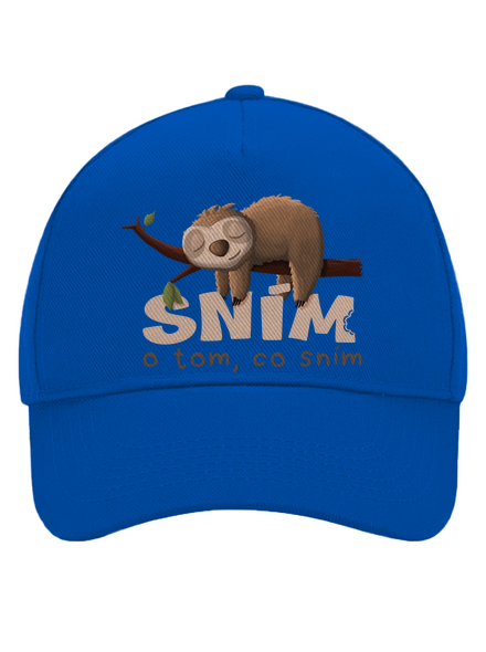 Sním o tom, co sním