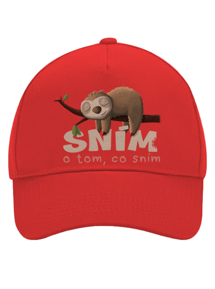 Sním o tom, co sním