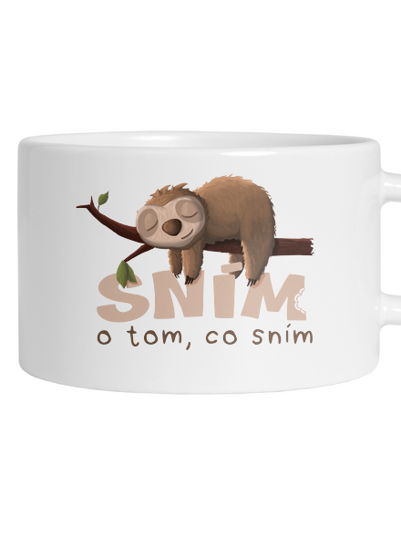 Sním o tom, co sním
