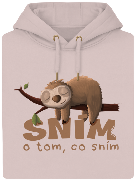 Sním o tom, co sním