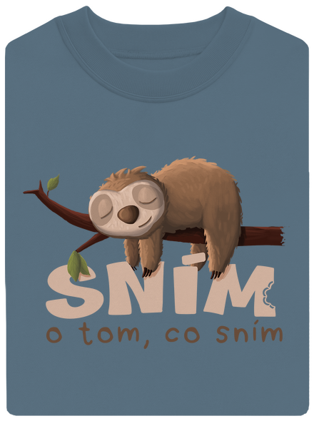 Sním o tom, co sním