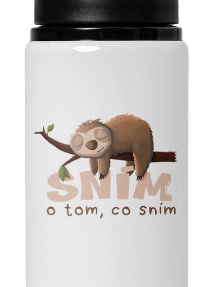 Sním o tom, co sním