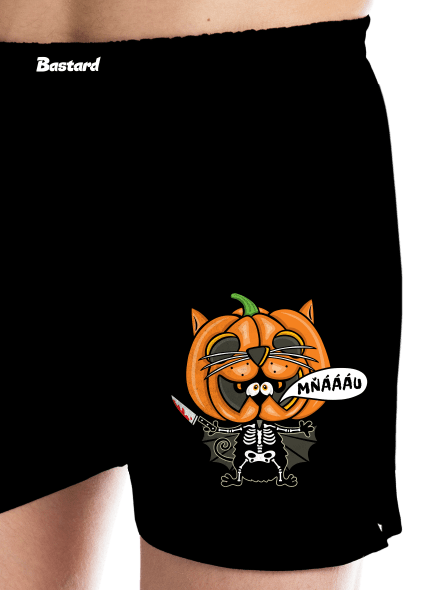 Halloweenská kočička