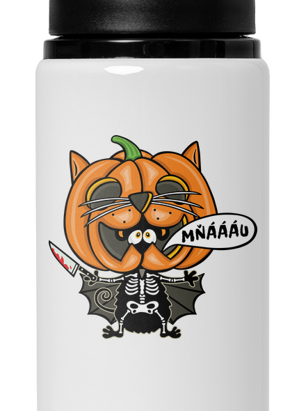 Halloweenská kočička