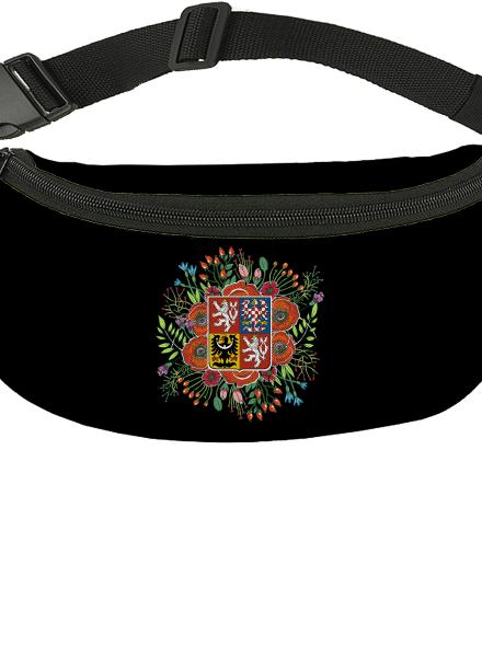 Moje rodná země Česká republika 