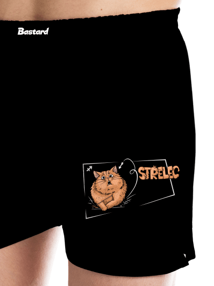 Kočičí horoskop: Střelec