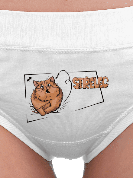 Kočičí horoskop: Střelec