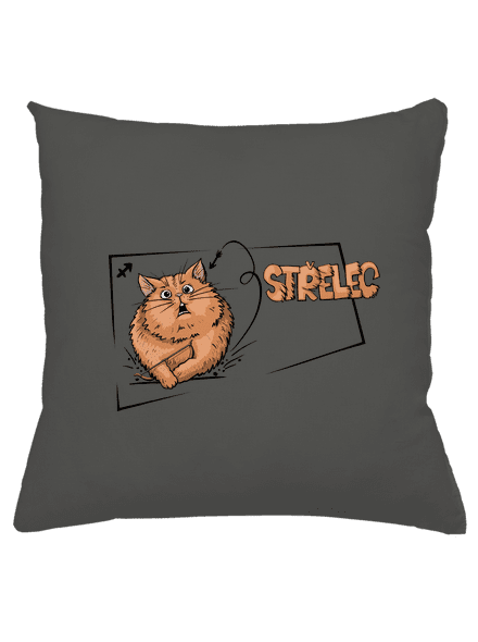 Kočičí horoskop: Střelec