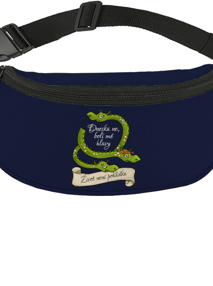 Bolí mě hlavy! – Život není pohádka