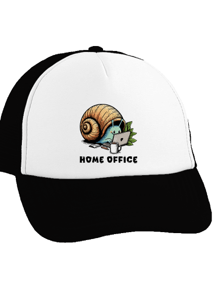 Šnekův home office