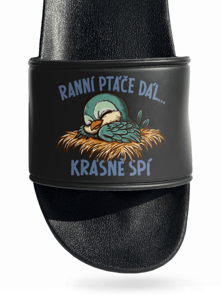 Ranní ptáče spí
