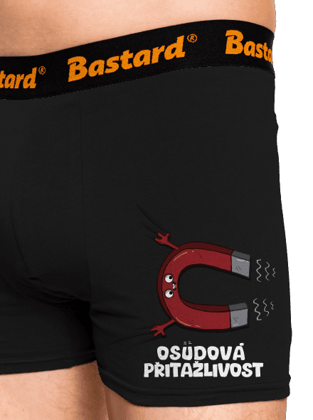 Osudová přitažlivost