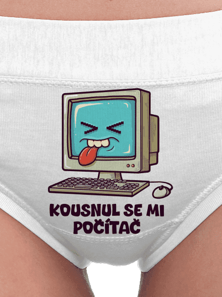 Kousnul se mi počítač
