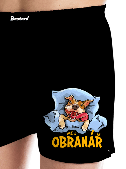 Můj obranář