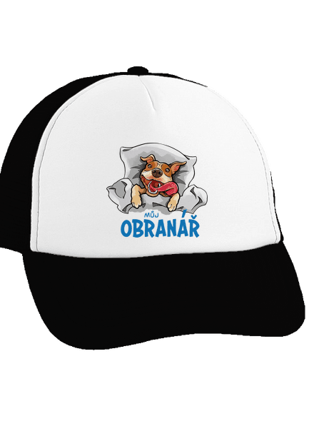Můj obranář