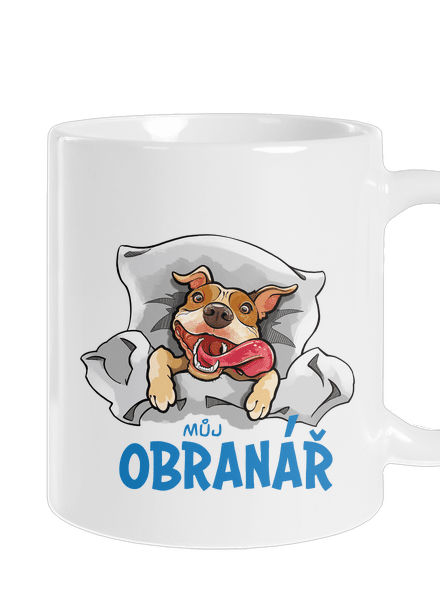 Můj obranář
