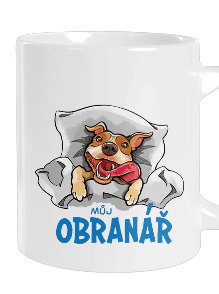 Můj obranář