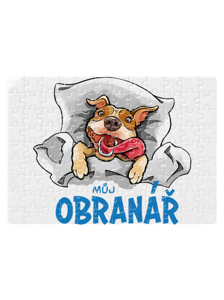Můj obranář