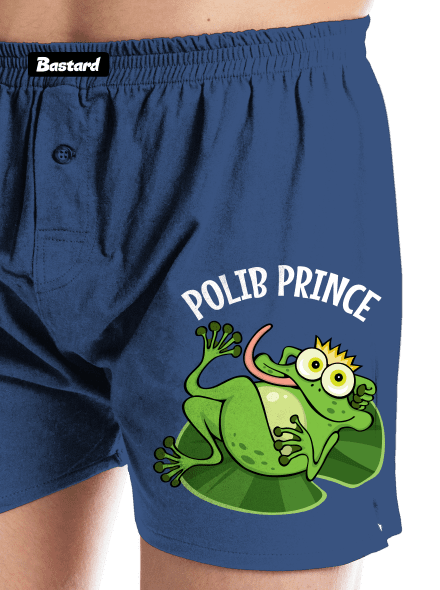 Polib princeznu a prince