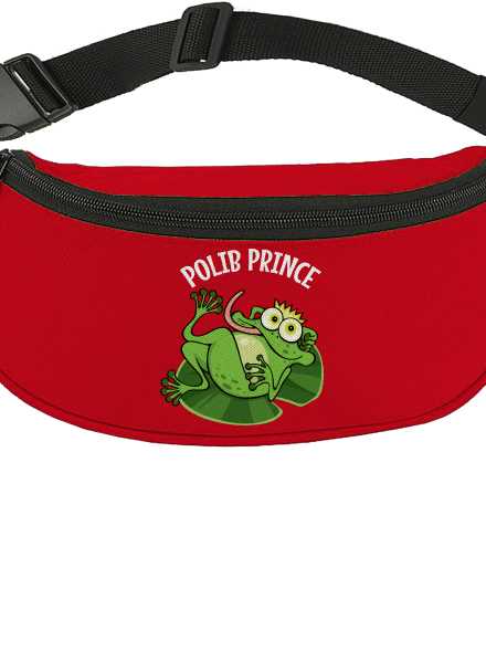 Polib princeznu a prince