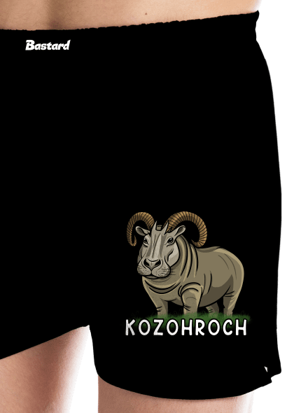Kozohroch