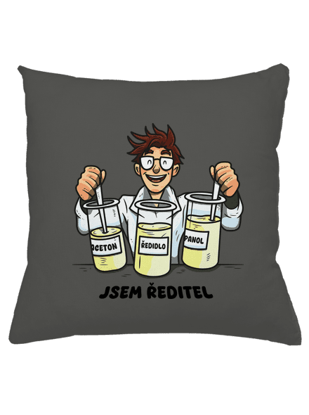 Jsem ředitel