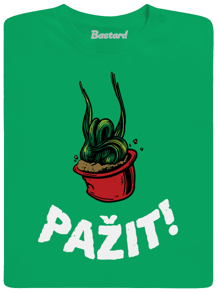 Pažit