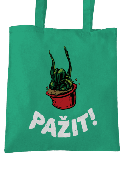 Pažit