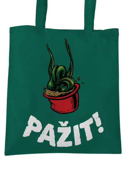 Pažit