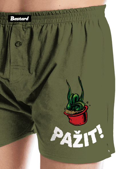 Pažit