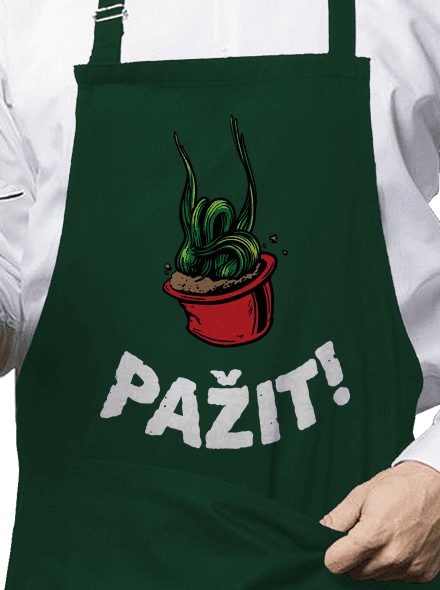 Pažit