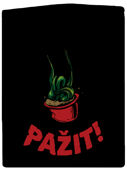 Pažit