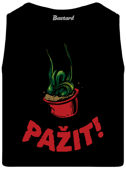 Pažit