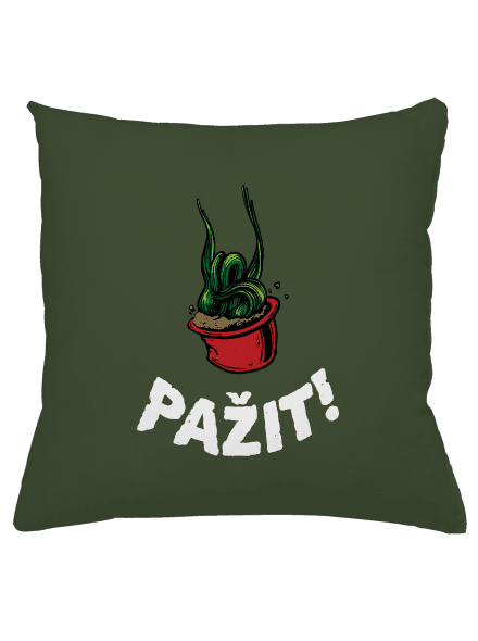 Pažit