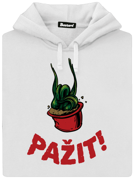 Pažit