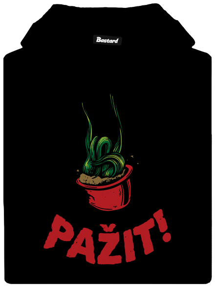 Pažit